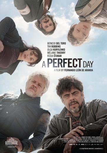 Perfect Day, A cover
