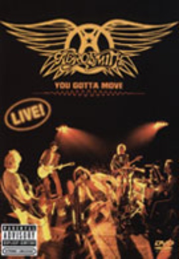 Aerosmith - You Gotta Move cover