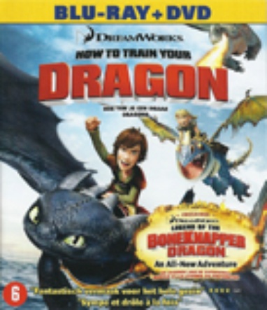 How to Train Your Dragon / Hoe Tem Je een Draak cover