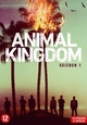 Animal Kingdom (TV-serie)