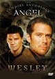 Angel: Wesley