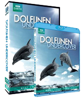 Dolfijnen Undercover